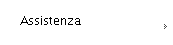 Assistenza